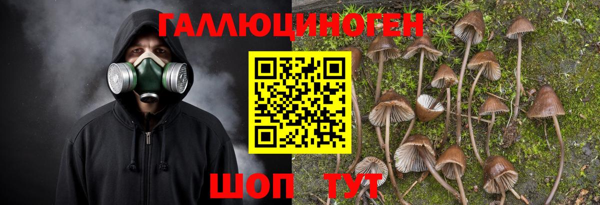 Муром  Галлюциногенные грибы GOLDEN TEACHER  Вход с VPN  Псилоцибиновые грибы Cubensis 