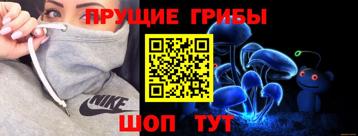 Галлюциногенные грибы Psilocybine cubensis Муром